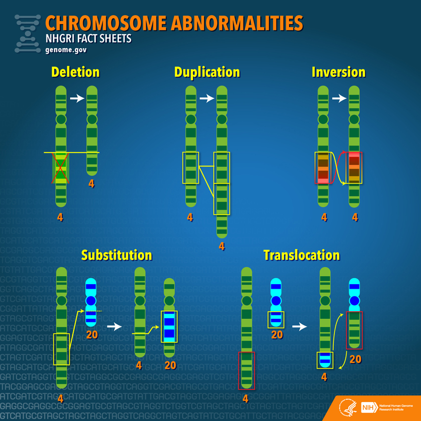 Chromosome_abnormalities_factsheet
