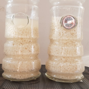 Le riz de la bouteille i9 absorbe l'eau, hydratation optimale